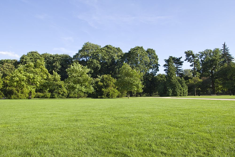 Vacant Land property in Harris County